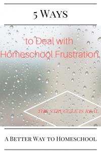 Stategies to help you deal with homeschool frustration. {The struggle is real}