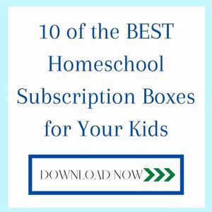 10 of the best homeschool subscription boxes for your kids