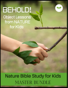 bible object lessons for kids from nature