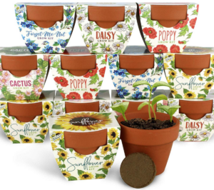 12 terra cotta pots with variety of seed packets
