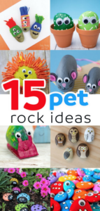 Photo collage of pet rocks showing a yellow lion pet rock, grey mice pet rocks, colorful snail pet rocks and rocks painted as owls